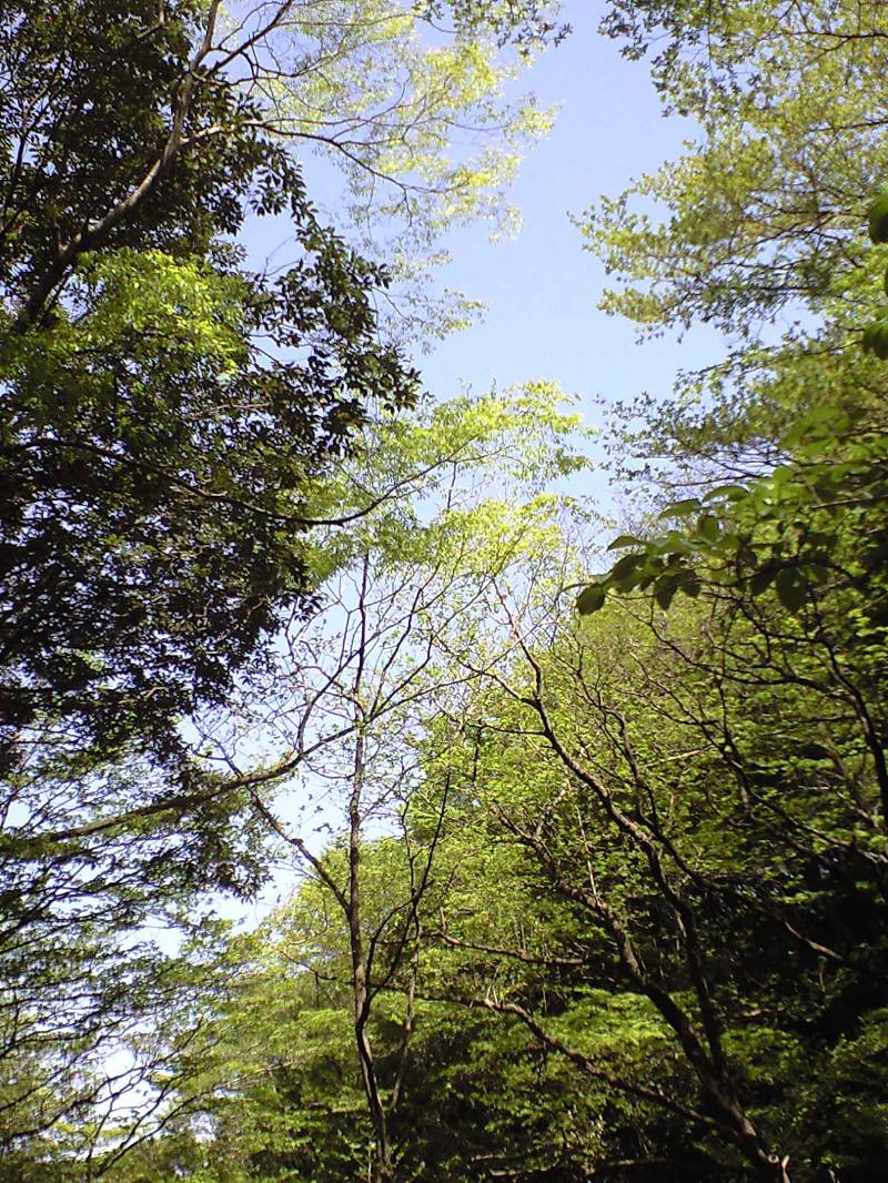 f0212511_2236071.jpg