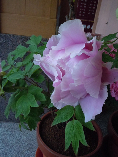 c0101913_1232156.png