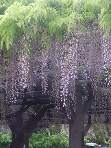 c0101913_12324924.png