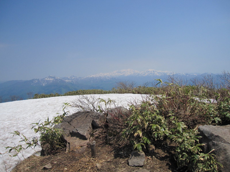 d0103314_20441129.jpg