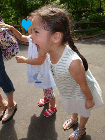 c0151122_10561752.gif