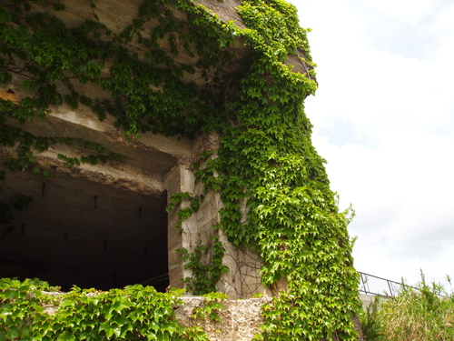 e0234922_1015342.jpg