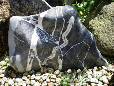 a0238324_05582.jpg