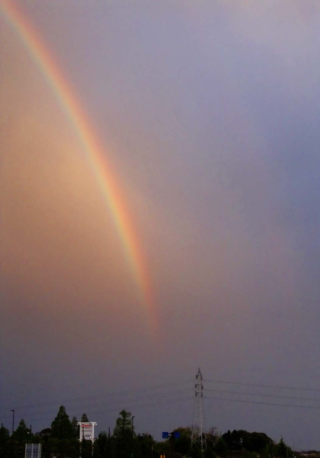big 　rainbow！_e0257524_15351436.jpg