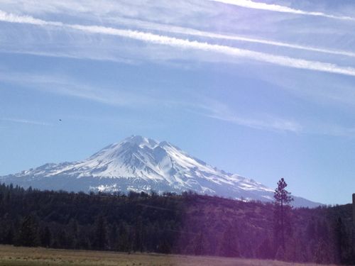 シャスタでの未知との遭遇!?_f0095325_2337155.jpg