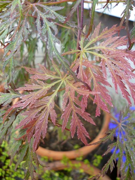 c0237432_149478.jpg