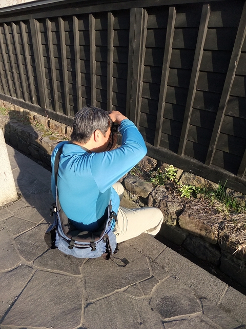 桜と肴と酒が呼んでる角館　東北ロケハンツーリング　DAY3後半_f0050534_104377.jpg