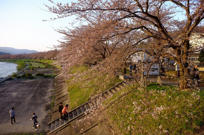 桜と肴と酒が呼んでる角館　東北ロケハンツーリング　DAY3後半_f0050534_9424077.jpg