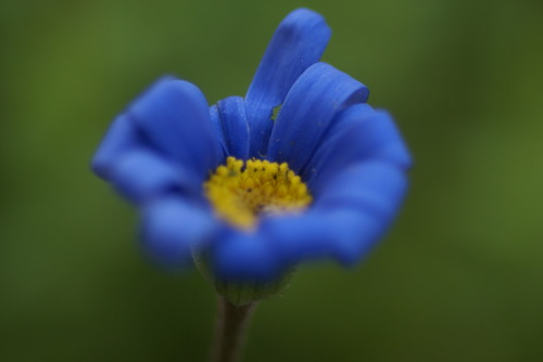 a0046748_6272212.jpg