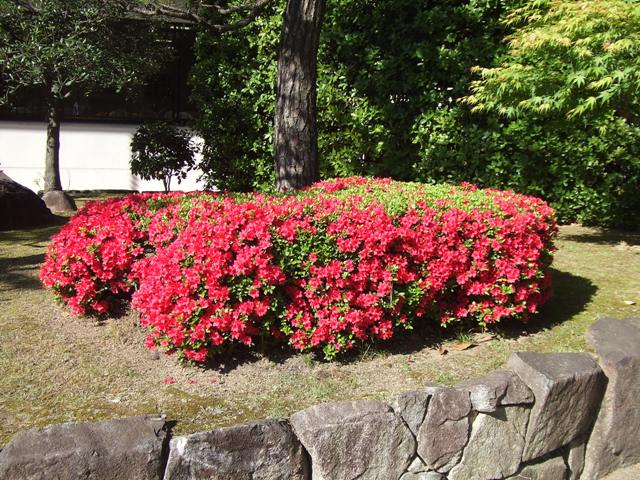 e0046748_0245080.jpg