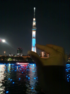 f0203249_024025.gif