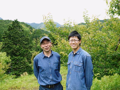 南高梅 山あいの南高梅_a0254656_16295491.jpg