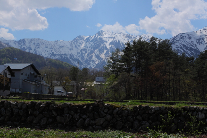 d0176157_23551615.jpg