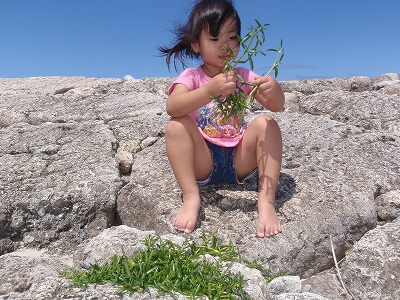 c0180460_10344426.jpg