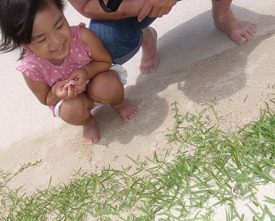 c0180460_10365660.jpg
