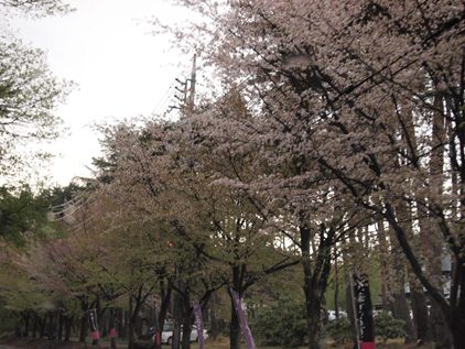 d0104465_15594316.jpg
