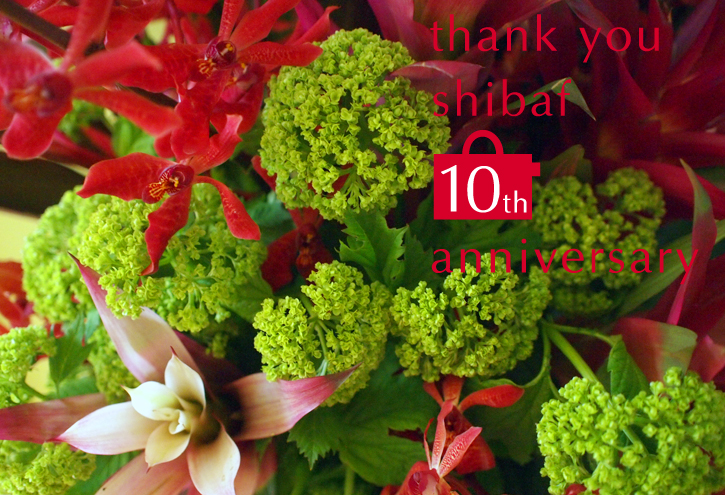 Thank you ♥ shibaf 10th anniversary_e0243765_18182977.jpg