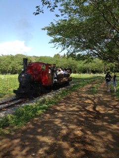 5/7（月）【ナビット神保町ブログ】21世紀によみがえる軽便鉄道_d0052566_2247362.jpg