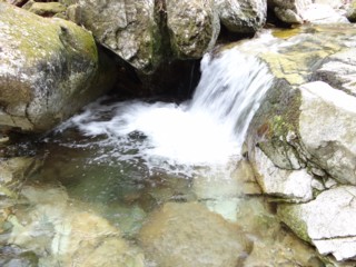 d0134473_16103681.jpg