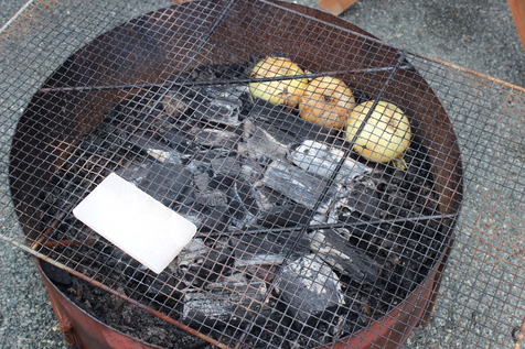 我が家のGW―BBQ―_e0254773_11534239.jpg