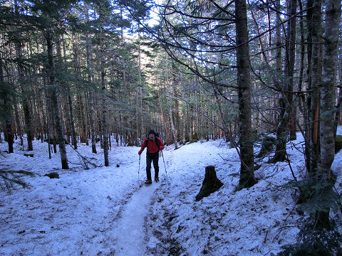 c0002874_12363248.jpg