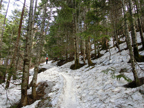 c0002874_12375085.jpg