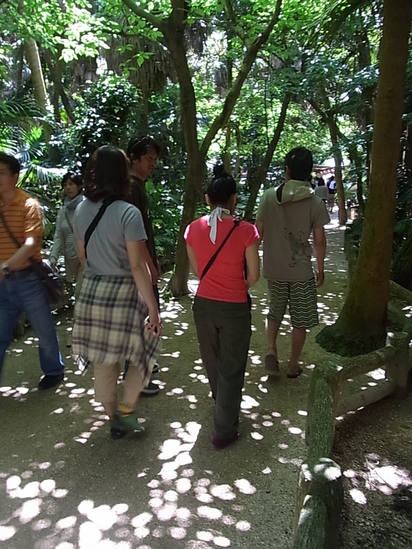 c0142576_14416.jpg