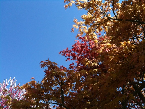 a0224279_1057957.jpg