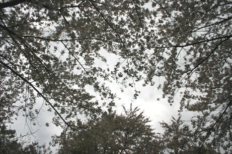 c0057781_13481.jpg