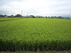 d0247484_18204997.jpg
