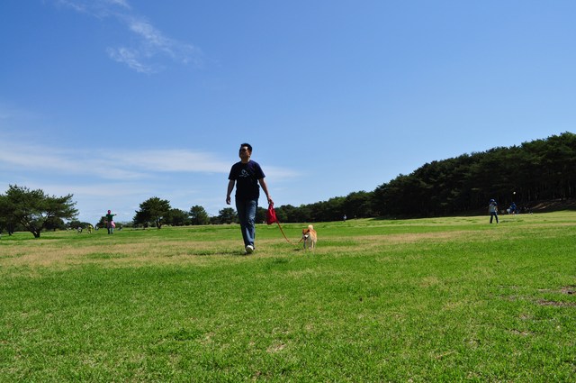 ひたち海浜公園_a0126590_2151430.jpg