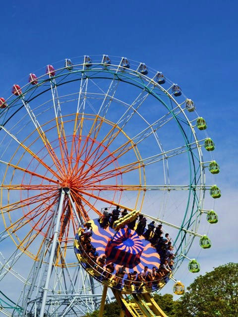 ひたち海浜公園_a0126590_22135375.jpg