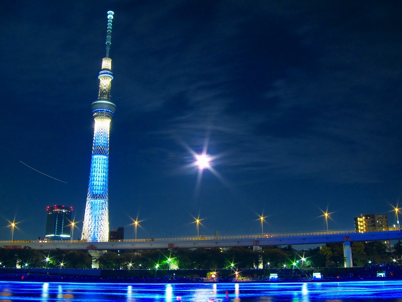 d0020791_02254.jpg