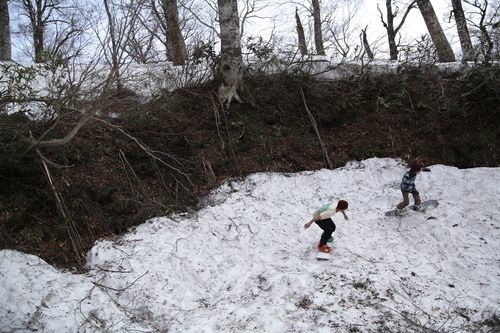 a0181194_2015507.jpg