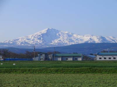 e0140496_21551045.jpg