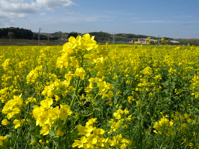 大気ノ状態ガ不安定デス、、_a0199297_19531175.jpg