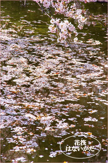b0145398_16121721.jpg