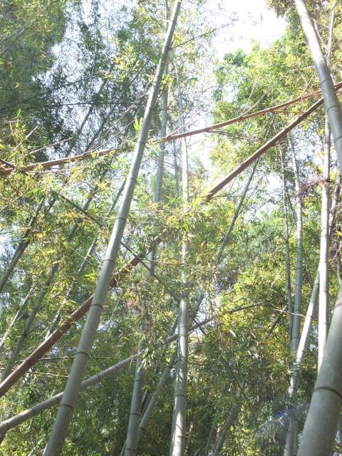 c0183801_11202171.jpg