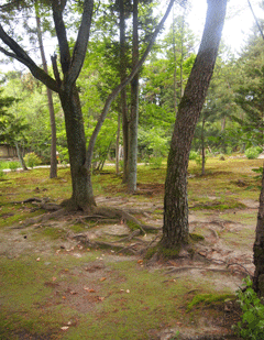 c0128402_104651.gif