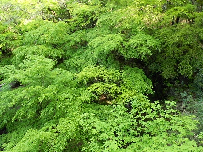 b0147203_22334773.jpg