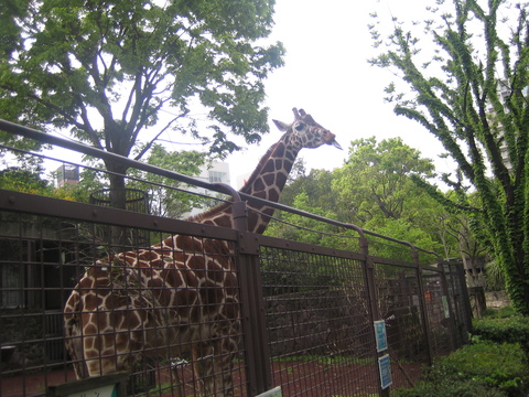 e0147206_061039.jpg