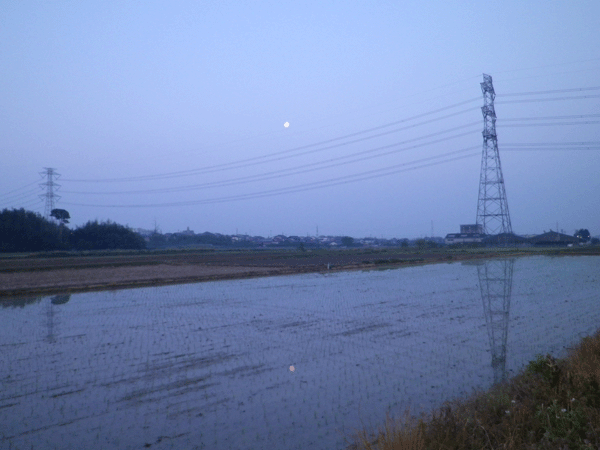 b0000209_2047395.gif