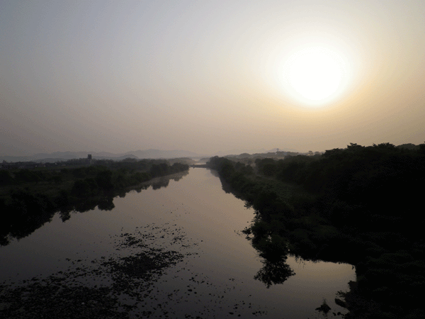 b0000209_20542638.gif