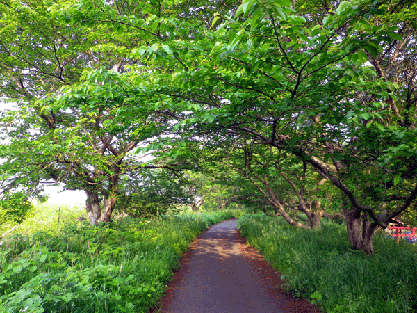 b0000209_20572787.gif