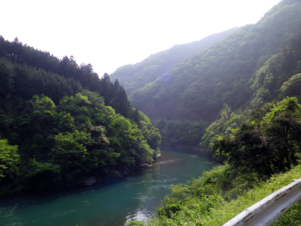 b0000209_2151531.gif