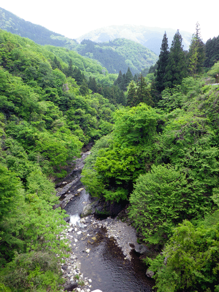 b0000209_2154275.gif
