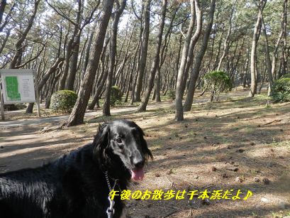 c0097309_10362285.jpg