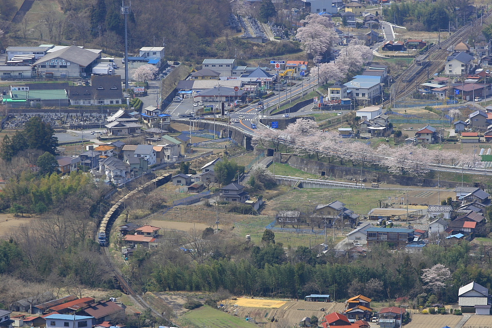 桜とヲキ貨物 - 2012年春・秩父 -_b0190710_22593629.jpg