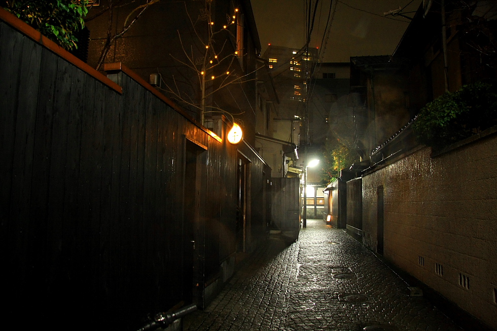 石畳と板塀_b0190710_2393241.jpg