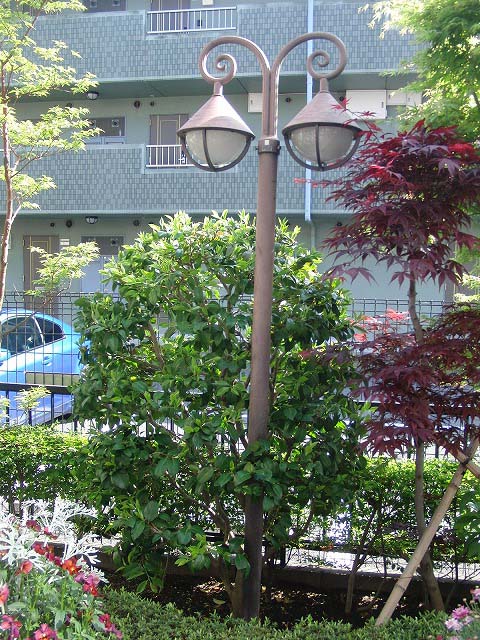 いつまでもいたくなりそうな品の良い庭　富士市オープンガーデン　その2_f0141310_6455824.jpg
